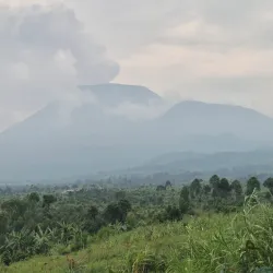 Virunga National Park - Goma