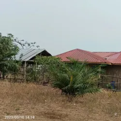 People enjoying the surroundings of Kenge