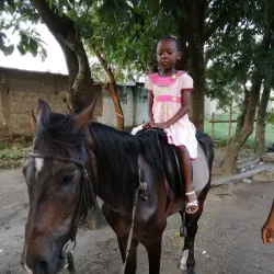 Kinshasa Zoo (Jardin Zoologique de Kinshasa) - Kinshasa