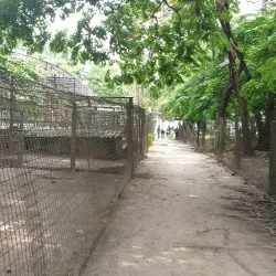 Kinshasa Zoo (Jardin Zoologique de Kinshasa) - Kinshasa
