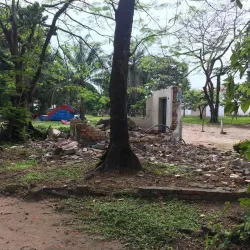 Kinshasa Zoo (Jardin Zoologique de Kinshasa) - Kinshasa