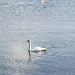 Aabenraa Beach - Aabenraa