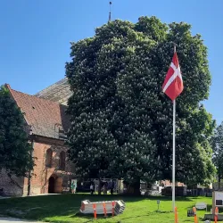 Aabenraa Church (Sankt Nicolai Kirke) - Aabenraa