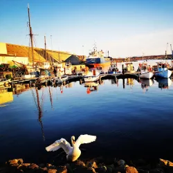 Aabenraa Harbor - Aabenraa