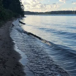 Lillebælt Nature Reserve - Aabenraa