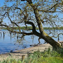 Lillebælt Nature Reserve - Aabenraa