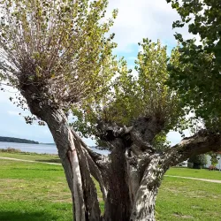Maritime Walk - Aabenraa