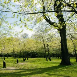 Aalborg Congress & Culture Center - Aalborg
