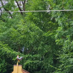 Aalborg Tower (Aalborgtårnet) - Aalborg