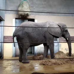 Aalborg Zoo - Aalborg