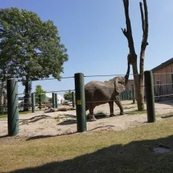Aalborg Zoo - Aalborg