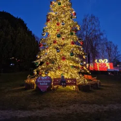 Aalborg Zoo - Aalborg