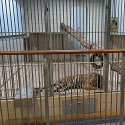 Aalborg Zoo - Aalborg