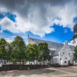 Budolfi Cathedral - Aalborg