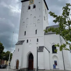 Budolfi Cathedral - Aalborg