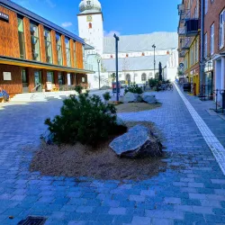 Budolfi Cathedral - Aalborg