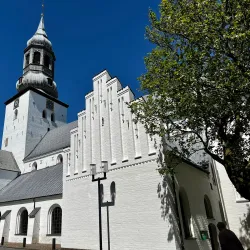 Budolfi Cathedral - Aalborg