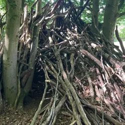 Lindholm Høje - Aalborg