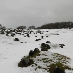 Lindholm Høje - Aalborg