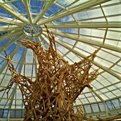 Aarhus Botanical Gardens - Aarhus