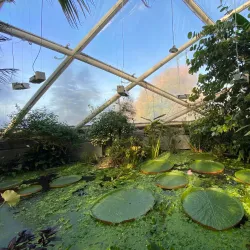 Aarhus Botanical Gardens - Aarhus