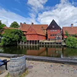 Den Gamle By (The Old Town) - Aarhus