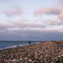 Assens Beach - Assens