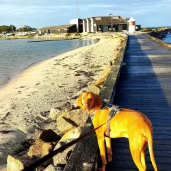 Assens Beach - Assens