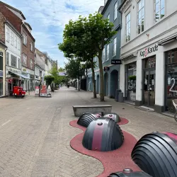 The Old Town Hall - Assens