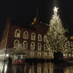 The Old Town Hall - Assens