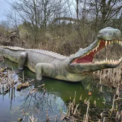 Givskud Zoo (Løveparken Givskud) - Billund