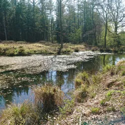 Skærbæk Town (nearby) - Bylderup-Bov
