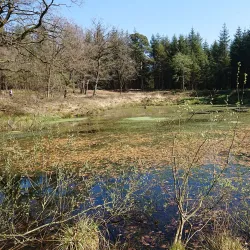 Skærbæk Town (nearby) - Bylderup-Bov