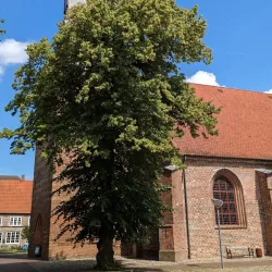 Tøndermarsken Nature Reserve (nearby) - Bylderup-Bov