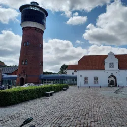 Tøndermarsken Nature Reserve (nearby) - Bylderup-Bov