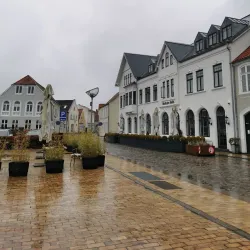 Tøndermarsken Nature Reserve (nearby) - Bylderup-Bov