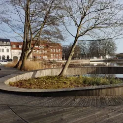 Tøndermarsken Nature Reserve (nearby) - Bylderup-Bov