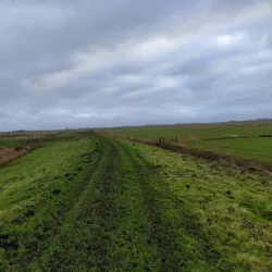 Tøndermarsken Nature Reserve (nearby) - Bylderup-Bov