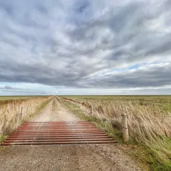 Tøndermarsken Nature Reserve (nearby) - Bylderup-Bov