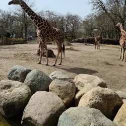 Copenhagen Zoo - Copenhagen