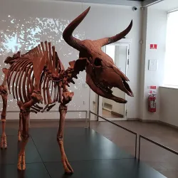 National Museum of Denmark - Copenhagen