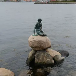The Little Mermaid Statue - Copenhagen