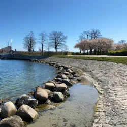The Little Mermaid Statue - Copenhagen