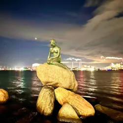 The Little Mermaid Statue - Copenhagen