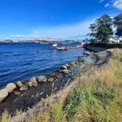 The Little Mermaid Statue - Copenhagen