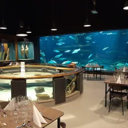 Fisheries and Maritime Museum - Esbjerg