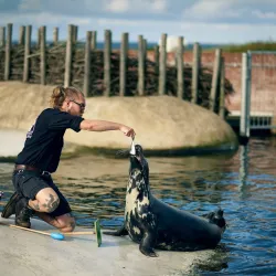 Fisheries and Maritime Museum - Esbjerg