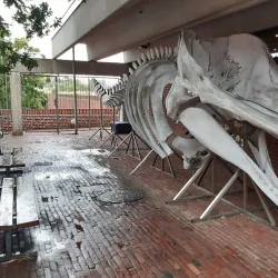 Fisheries and Maritime Museum - Esbjerg