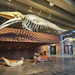 Fisheries and Maritime Museum - Esbjerg