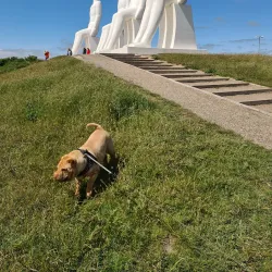 Men at Sea (Mennesket ved Havet) - Esbjerg